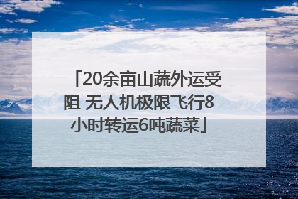 20余亩山蔬外运受阻 无人机极限飞行8小时转运6吨蔬菜