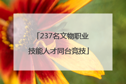 237名文物职业技能人才同台竞技