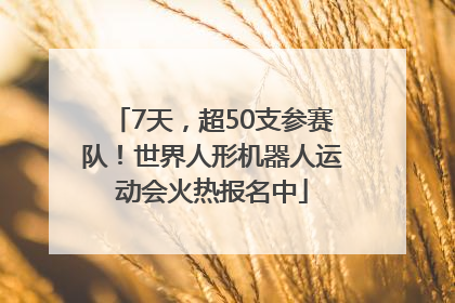 7天，超50支参赛队！世界人形机器人运动会火热报名中