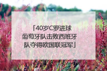 40岁C罗进球 葡萄牙队击败西班牙队夺得欧国联冠军