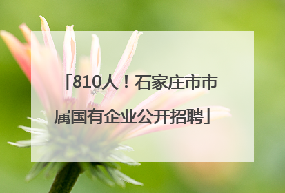 810人！石家庄市市属国有企业公开招聘