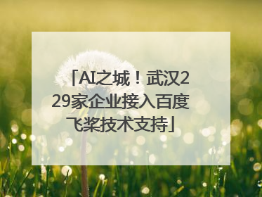 AI之城！武汉229家企业接入百度飞桨技术支持