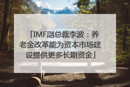 IMF副总裁李波：养老金改革能为资本市场建设提供更多长期资金