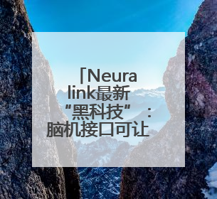 Neuralink最新“黑科技”：脑机接口可让猴子看见不存在的物体