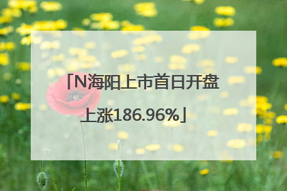 N海阳上市首日开盘上涨186.96%