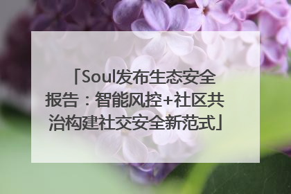 Soul发布生态安全报告：智能风控+社区共治构建社交安全新范式