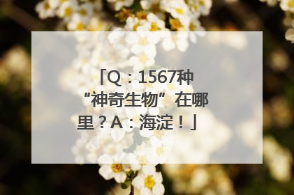 Q：1567种“神奇生物”在哪里？A：海淀！