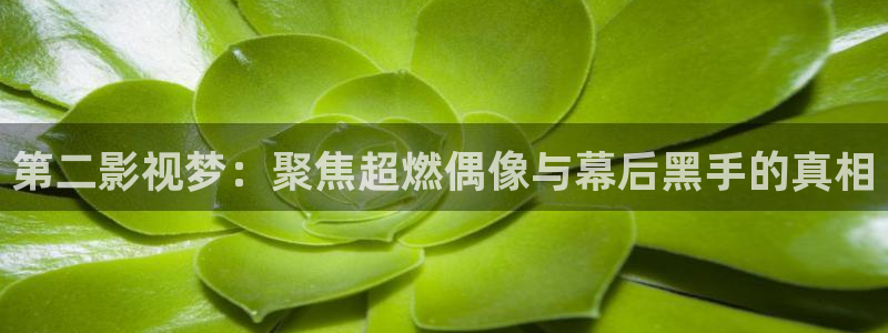 三分之一情人西瓜影院