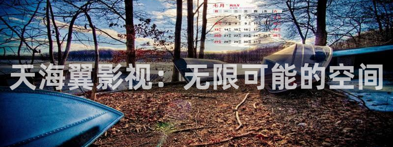 沉香如屑电视剧免费观看完整版西瓜影院