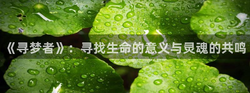 招摇在线观看免费观看全集西瓜