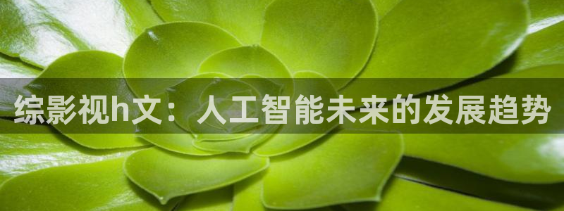 我想看西瓜视频