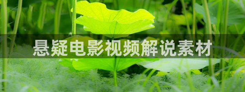 西瓜第一影院