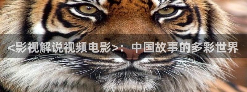 马大帅1全集免费观看在线西瓜
