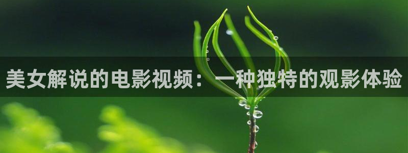 司藤在线观看免费完整版西瓜