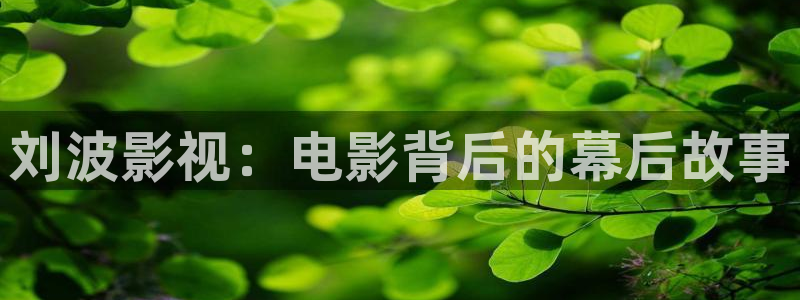 西瓜短剧免费观看软件
