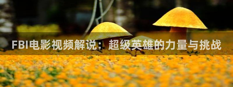西瓜播放