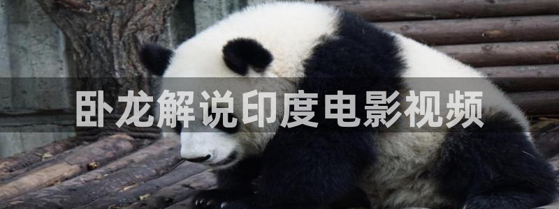 泽艺影城西瓜电影