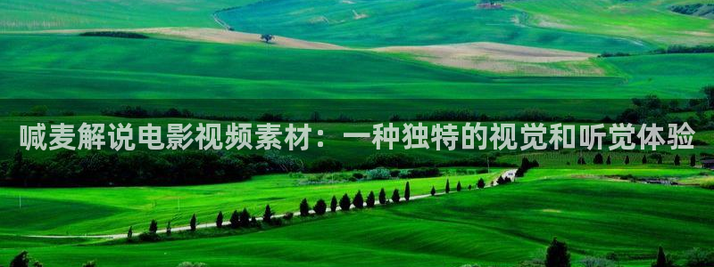 琪琪西瓜影院
