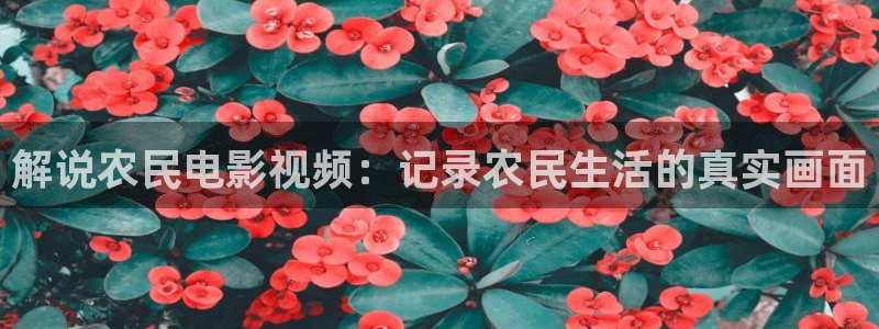 新闻图片