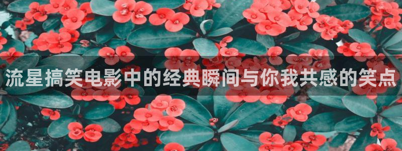 神马影院西瓜影院