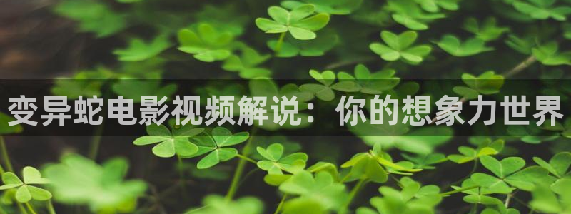 西瓜影院高清在线看